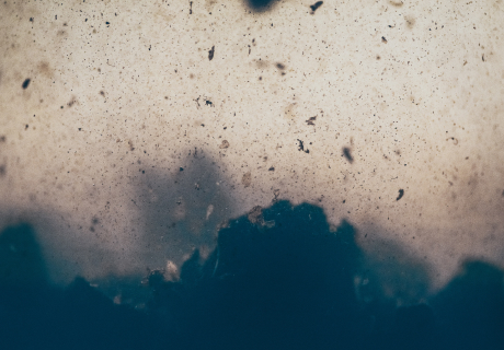 How does Legionella grow