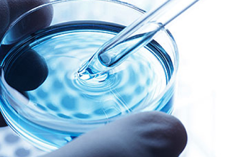 Inaccuracy in Legionella tests of building water systems due to sample holding time