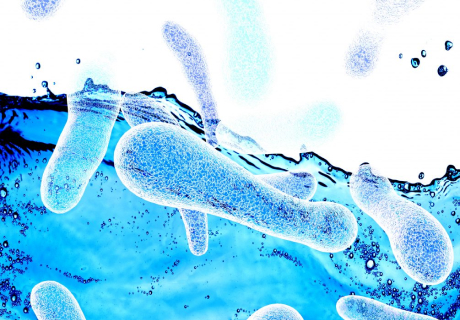 Legionnaires’ Disease Cases and Outbreaks in the USA