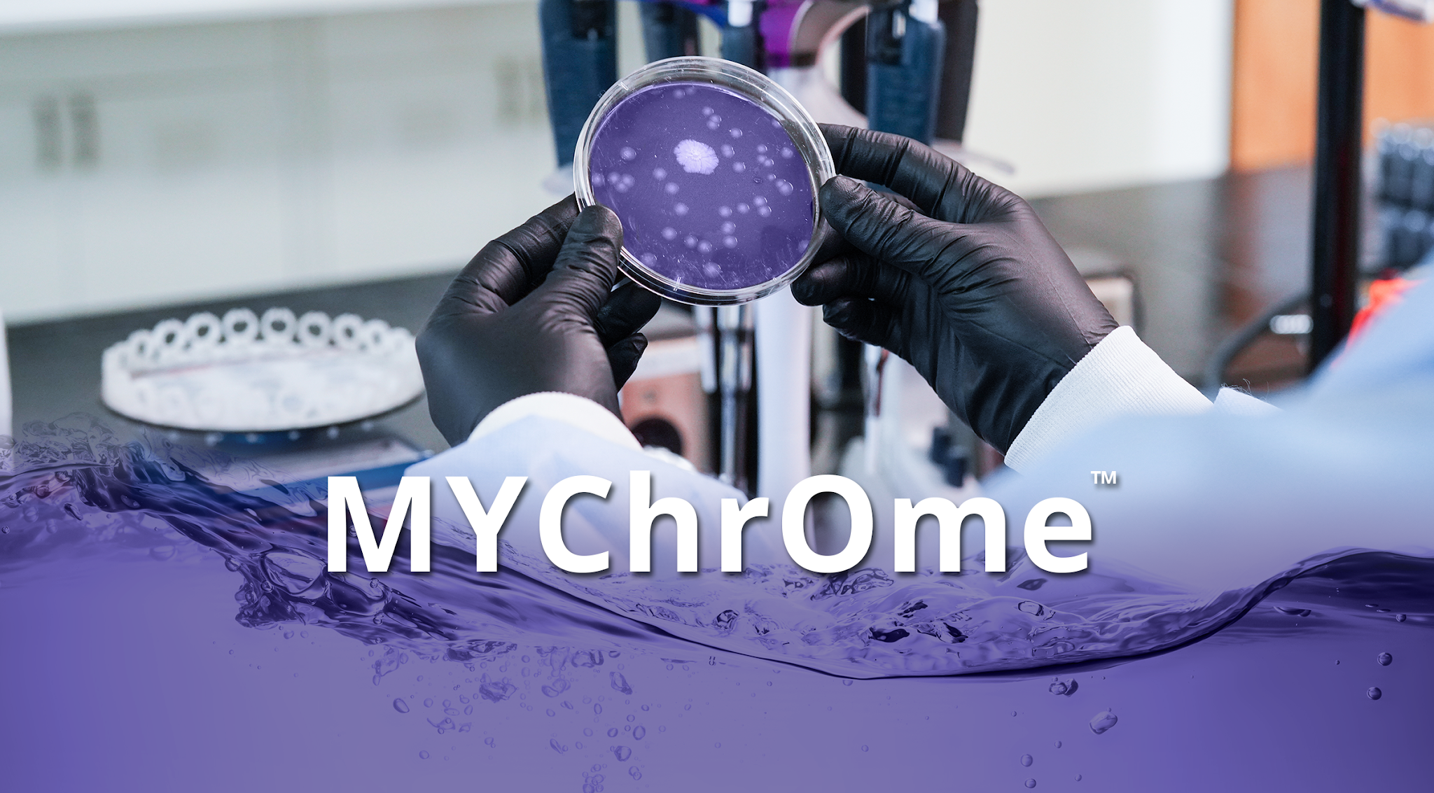 MYChrOme PTM