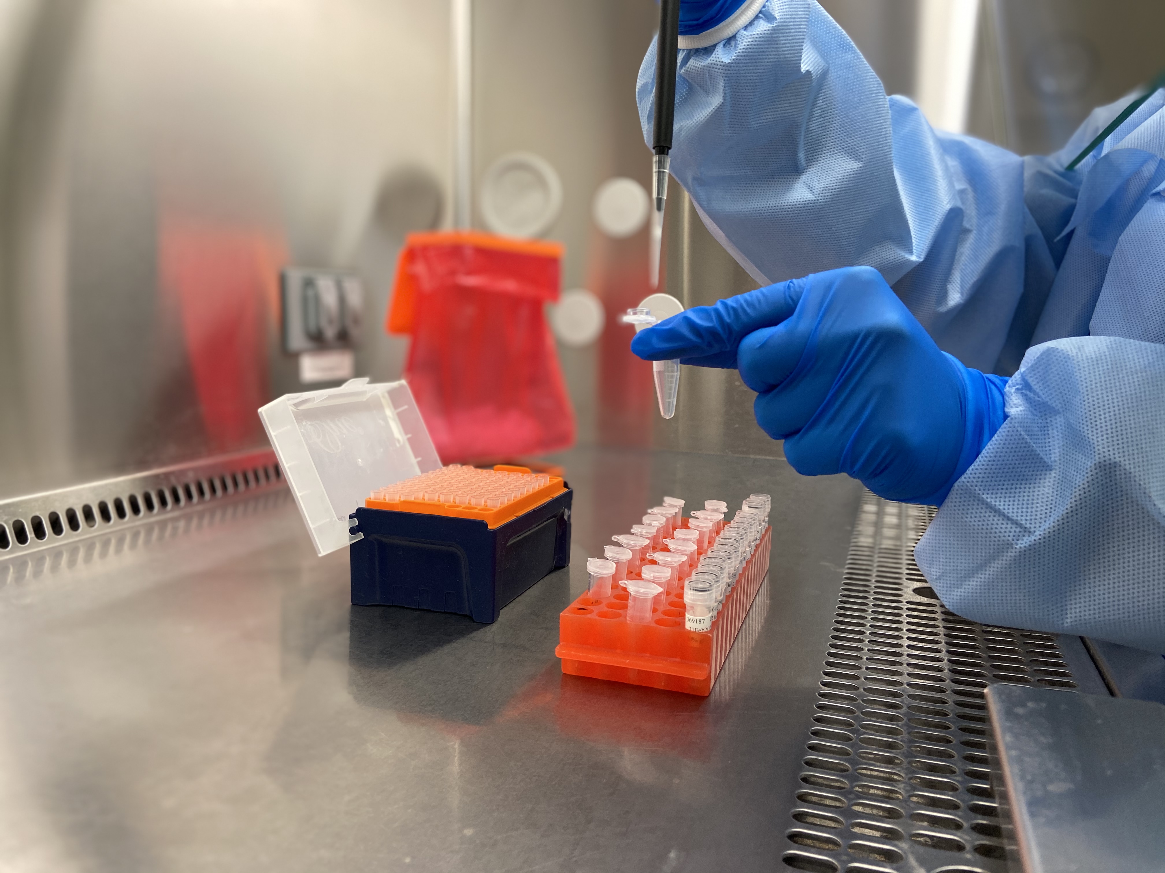 PCR lab image