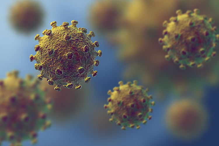 Coronavirus 2