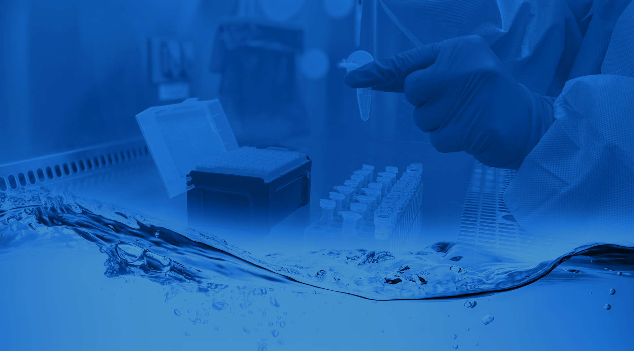 PCR Screening Phigenics